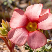 shutterstock_198689666 copy_edited_edite