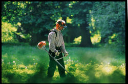 STIHL DESBROZADORA