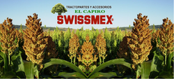 swissmex