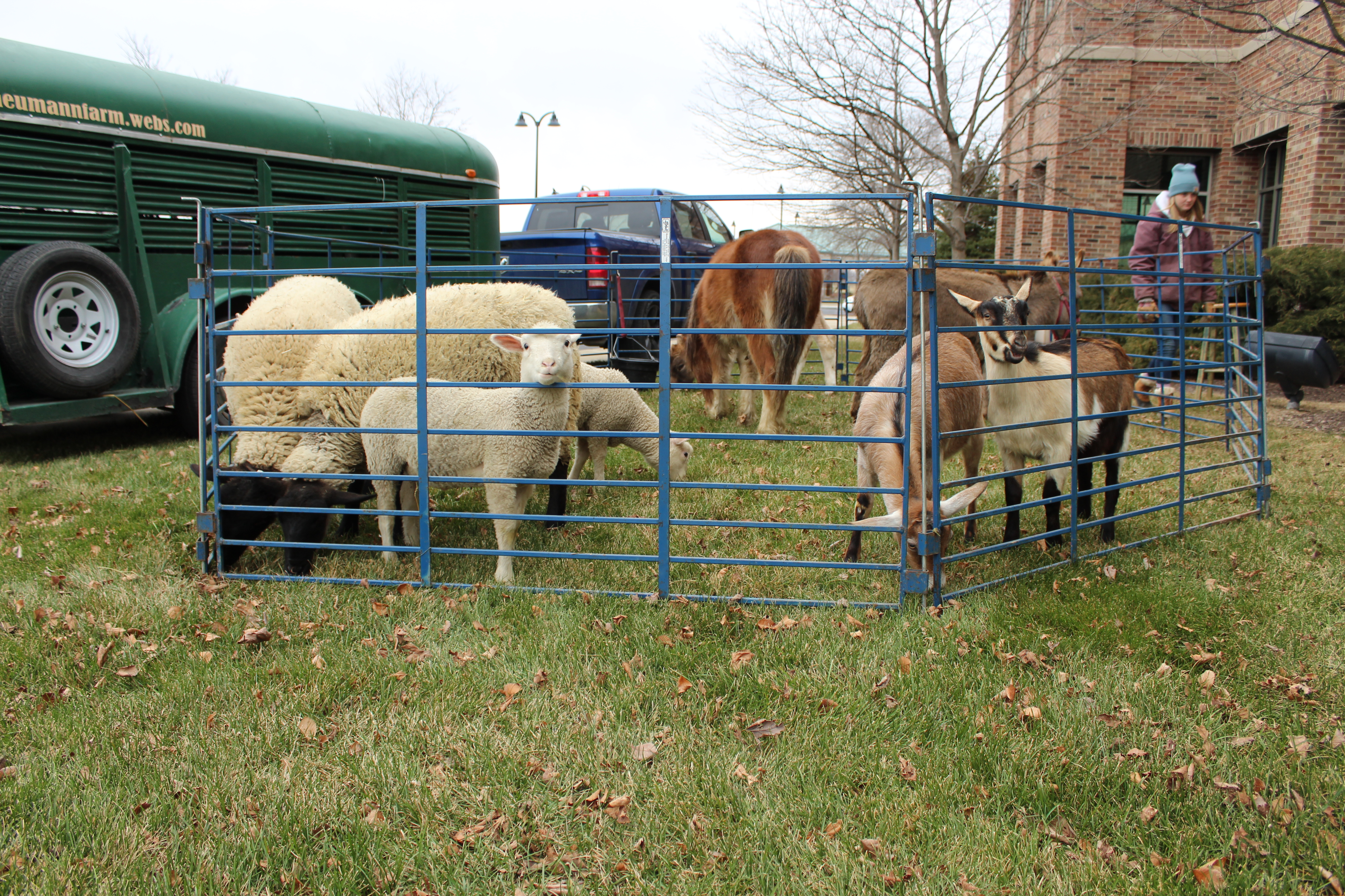 Mobile Farm | Scheumann Farm & Petting Zoo