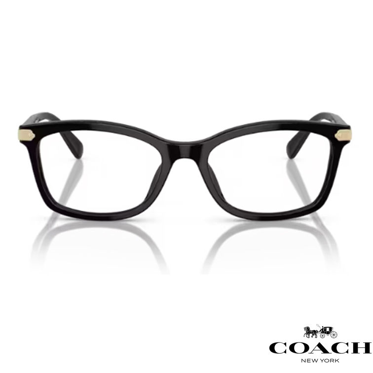 Thumbnail: Coach HC6219U