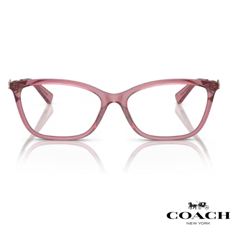 Thumbnail: Coach HC6146U