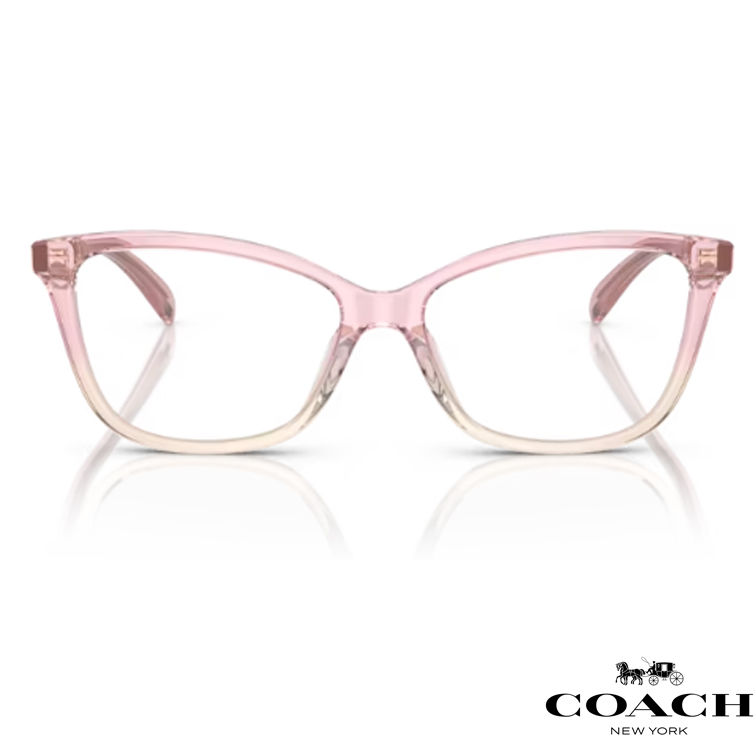 Thumbnail: Coach HC6206U