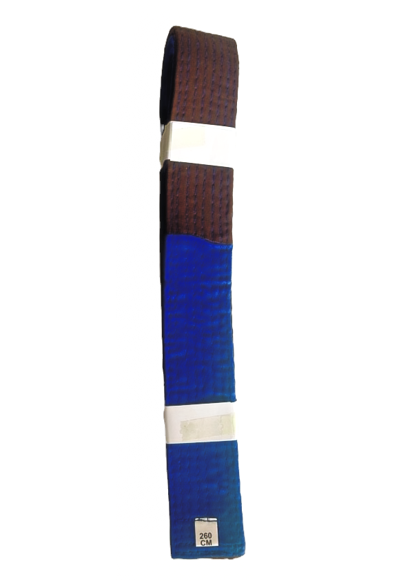 Thumbnail: CEINTURE RIGIDE BLEUE/MARRON