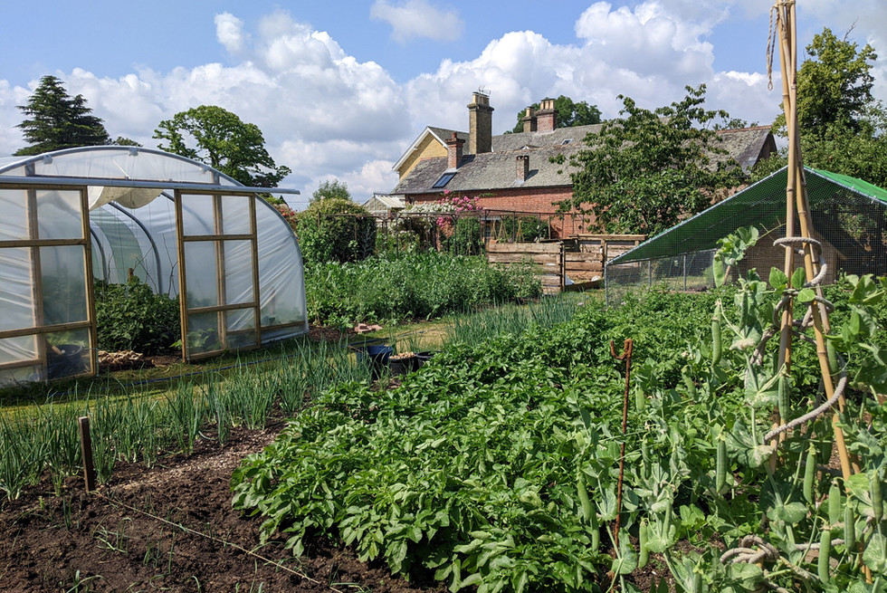 GOAT SHED Flaxfield House