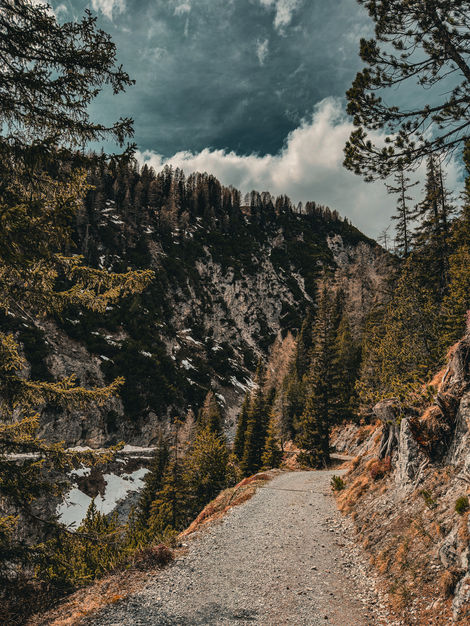 Büschalpweg (Davos)