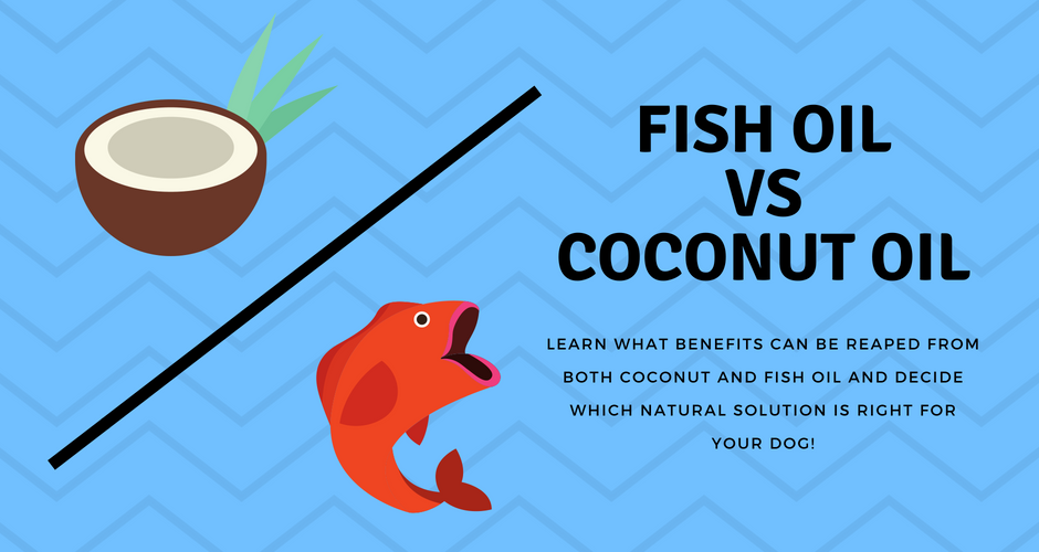 Coconut Oil or Salmon Oil how do you choose??