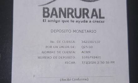 Ejemplo Boleta.jpg