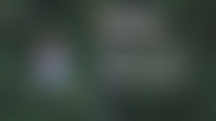 Professor Shunlin Liang co-authored a paper published in Science Advances