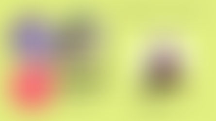 ✦✦UPCOMING✦✦ 08 JUN 2026 (MON) 09:00-10:00