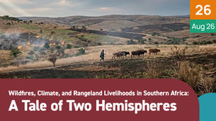 Herder guides cattle across burned savanna with smoke and fires; poster reads A Tale of Two Hemispheres, Aug 26