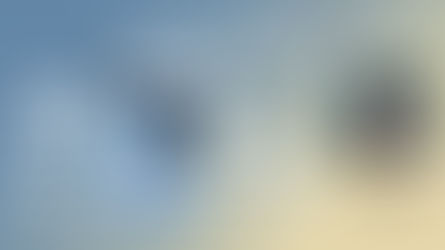 12 MAY 2026 (TUE)  10:00-11:00