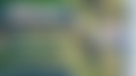 Professor Yuyu Zhou’s recent publication in ScienceAdvances