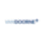 vandoorne logo.jpg