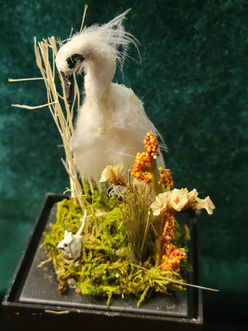Egret with mouse Best.jpg