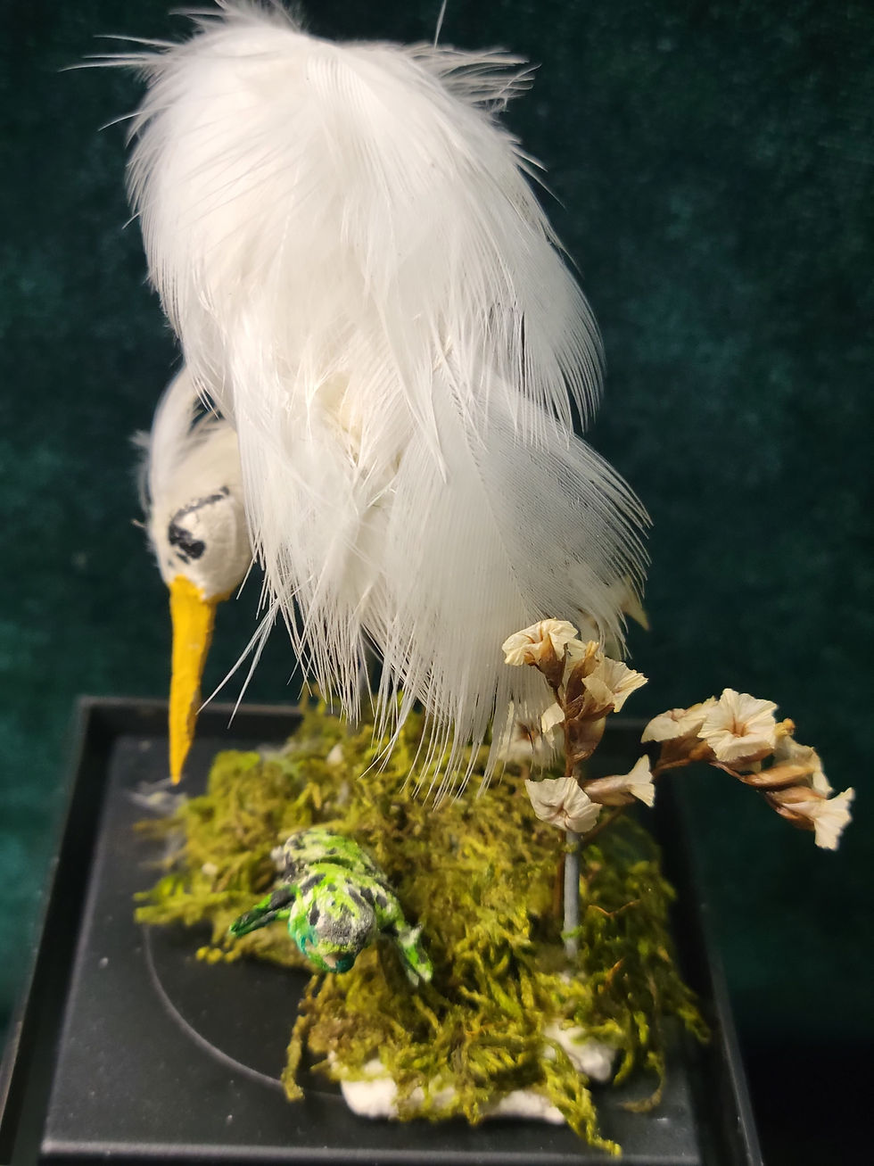 Thumbnail: Egrets