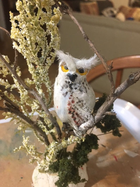 Thumbnail: Owls