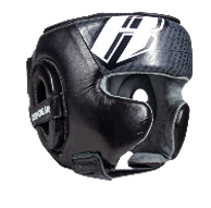 head gear_edited.png