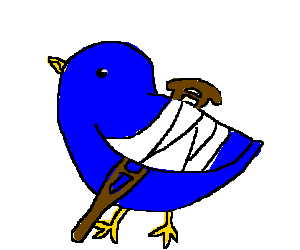 321 Biz Dev Can Help Small Business Owners Recover From The "Wounded Duck" Sales Failure Syndrome