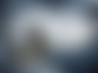 Trained-Up White-Collar Professionals Weather Every Storm