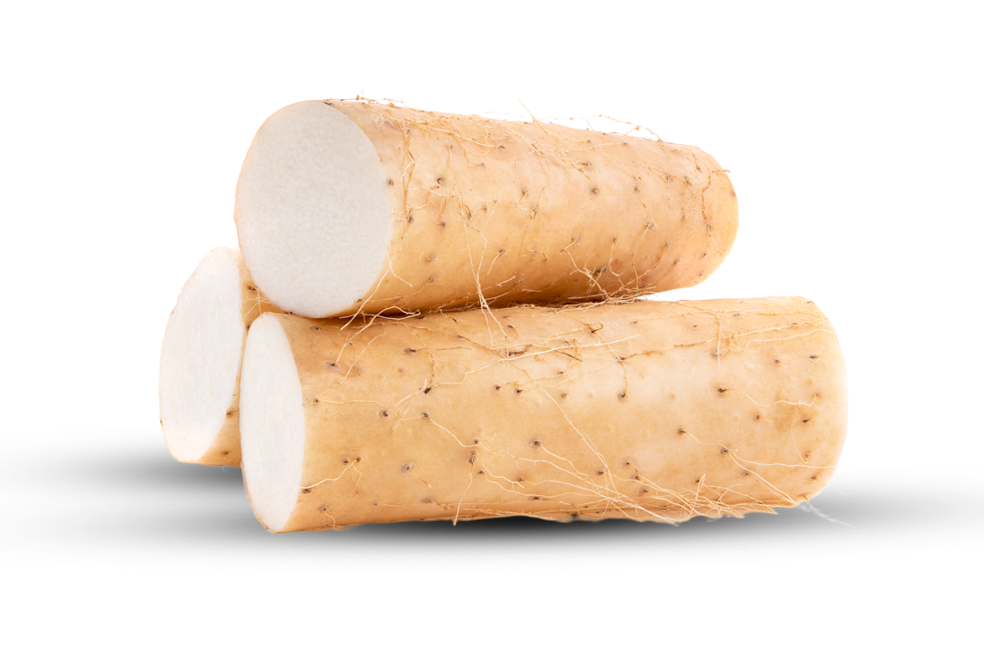 Yuca