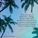 Quote on a background of palm trees and sky.