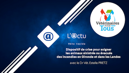 L'@CTU - Dispositif de crise pour soigner les animaux sinistrés ou évacués des incendies en Gironde et dans les Landes