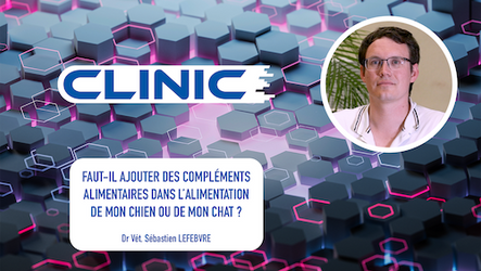 CLINIC - Faut-il ajouter des compléments alimentaires dans l’alimentation de mon chien ou de mon chat ?