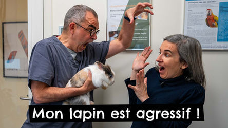 TONY & LEON - Mon lapin est agressif !
