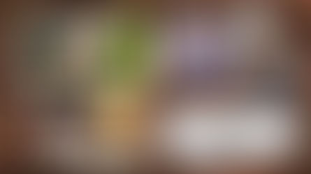 Tony et Léon - Comment gérer un oisillon tombé du nid ? #conseilsvéto 