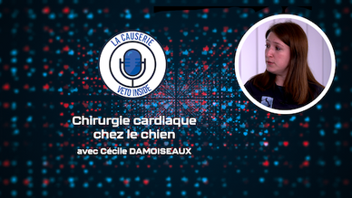 LA CAUSERIE - Chirurgie cardiaque chez le chien