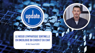 UPDATE - Le noeud lymphatique sentinelle en oncologie du chien et du chat