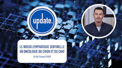 UPDATE - Le noeud lymphatique sentinelle en oncologie du chien et du chat