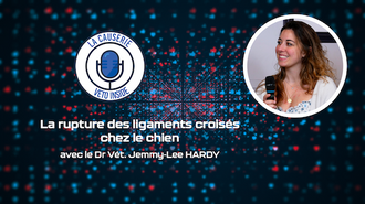 LA CAUSERIE - Actualités concernant la prise en charge de la rupture des ligaments croisés chez nos animaux de compagnie