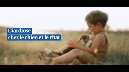 AGRIA - La giardiose chez les chiens et les chats