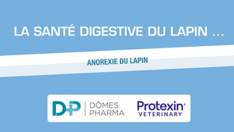 DÔMES PHARMA - La santé digestive du lapin - Anorexie du lapin