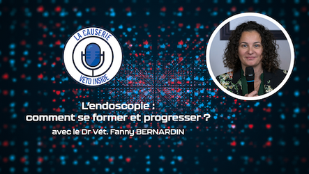 LA CAUSERIE - L’endoscopie : comment se former et progresser ?
