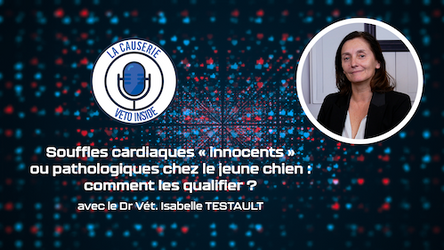 LA CAUSERIE - Souffles cardiaques « innocents » ou pathologiques chez le jeune chien : comment les qualifier ?