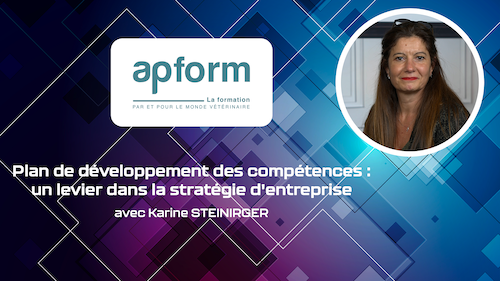 APFORM - Plan de développement des compétences : un levier dans la stratégie d'entreprise