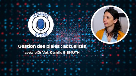 LA CAUSERIE - Gestion des plaies : actualités