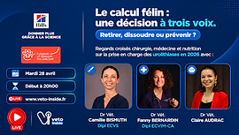 Miniature LIVE V3 copie 2.png
