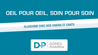 DÔMES PHARMA - Glaucome chez nos chiens et chats