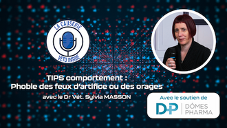 LA CAUSERIE - TIPS comportement : Phobie des feux d’artifice ou des orages