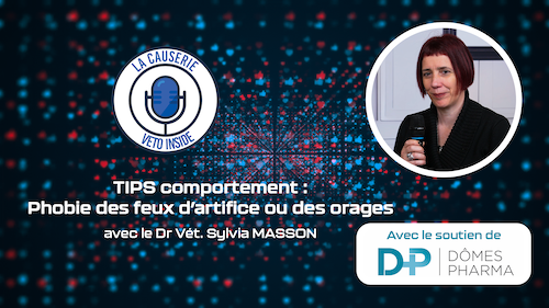 LA CAUSERIE - TIPS comportement : Phobie des feux d’artifice ou des orages
