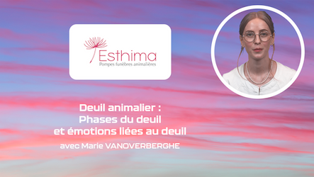 ESTHIMA - Deuil animalier : Phases du deuil et émotions liées au deuil