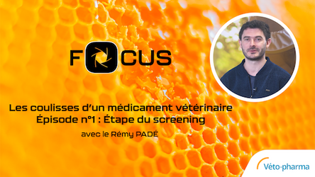FOCUS - Les coulisses d'un médicament pour abeille - Ep1 - Étape du screening