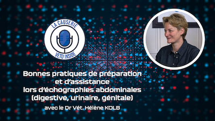 LA CAUSERIE - Bonnes pratiques de préparation et d’assistance lors d’échographies abdominales (digestive, urinaire, génitale)