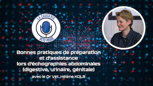 LA CAUSERIE - Bonnes pratiques de préparation et d’assistance lors d’échographies abdominales (digestive, urinaire, génitale)