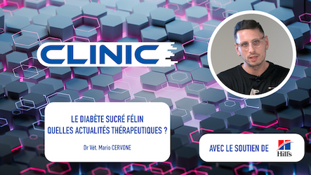 CLINIC - Le diabète sucré félin : quelles actualités thérapeutiques ?