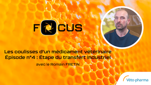 FOCUS - Les coulisses d'un médicament pour abeille - Ep4 - Étape du transfert industriel